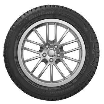 195/55R15 Snow Cross 89T шип.